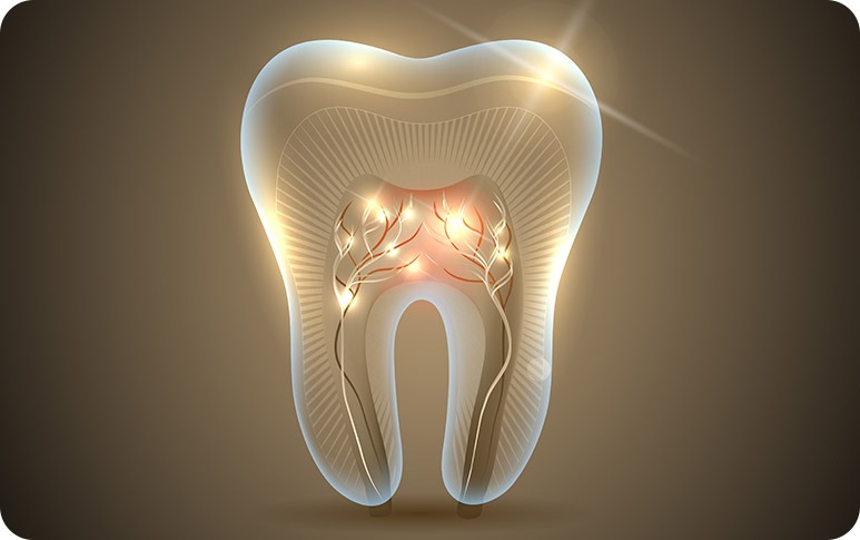 NE Calgary Root Canal Therapy | Redstone Smiles Dental | General and Family Dentist | NE Calgary